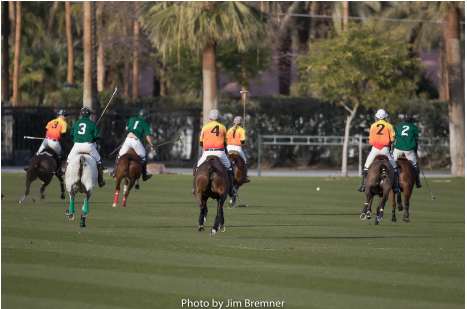 What Polo Shirt Numbers Mean It s Not What You Think 