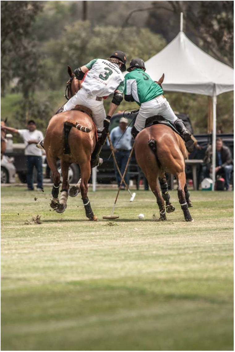 Photo Courtesy of San Diego Polo’s Facebook page. Both Number 3s battling it out for the ball near the goal. White #3 is our HorseNetwork Polo Celebrity, Tarzan.